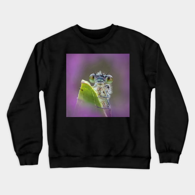 Blue-tailed Damselfly Crewneck Sweatshirt by TonyNorth